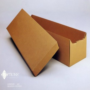Cardboard Cremation Container