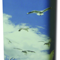 Going Home Natural Scatter Urn
