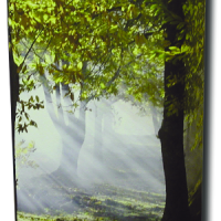 Misty Woods Natural Scatter Urn
