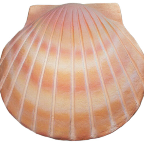 Sand Shell Eco-friendly Urn