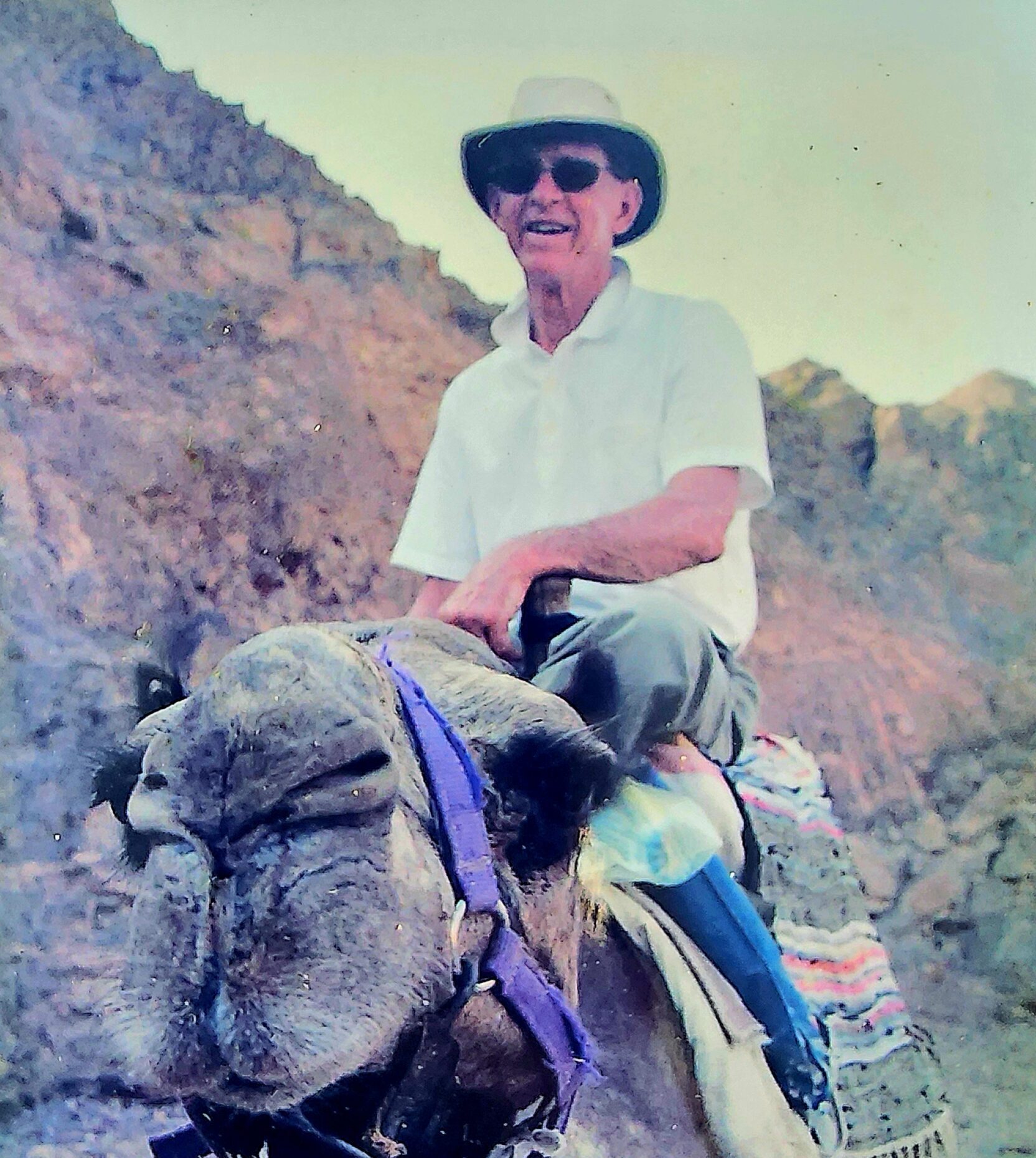 Harold D. Merritt
