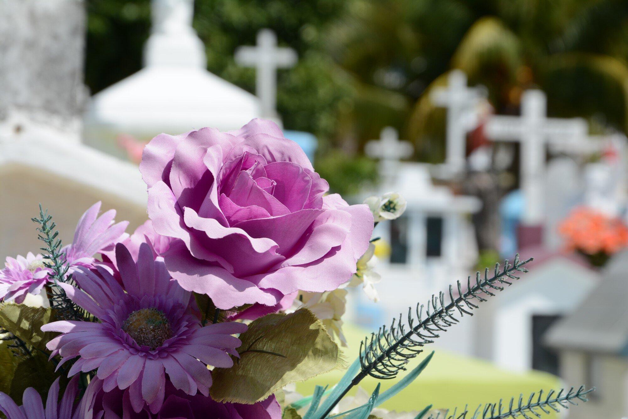 cementerio-flor-cemetery